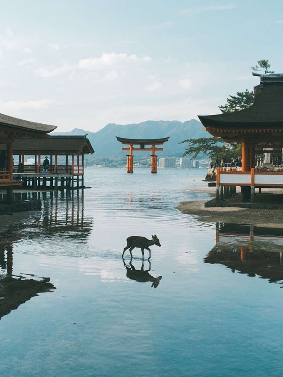 The original landscape photo